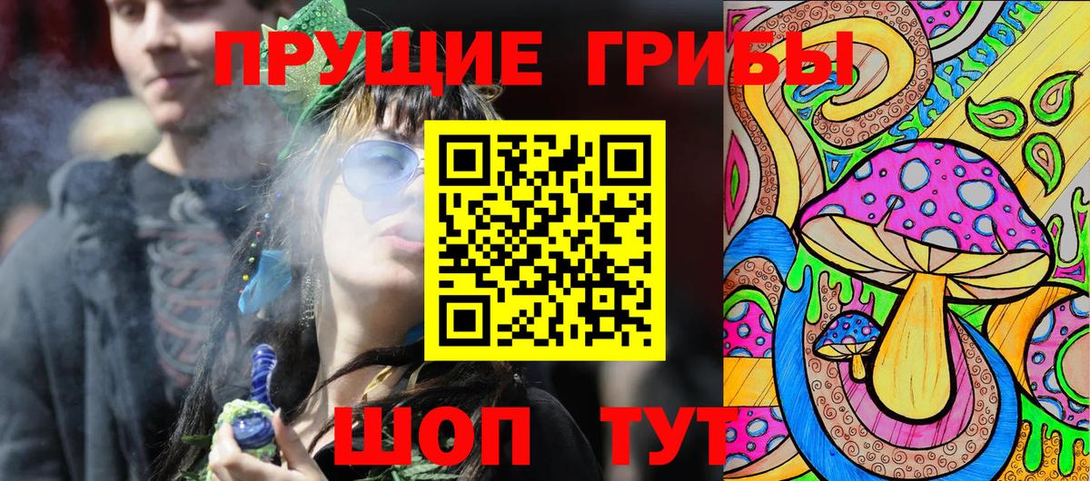 Псилоцибиновые грибы Psilocybine cubensis Балабаново